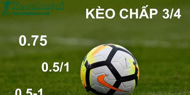 Tỷ Lệ Kèo Là Gì? Tại Sao Nó Quan Trọng Trong Cá Cược? 2 Tỷ lệ kèo là gì tructiepbongda360