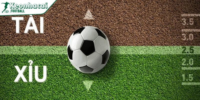 Tài Xỉu 3.25 - Bí Kíp Làm Giàu Hiếm Có Trong Giới Bóng Đá 3 Tải Xỉu 3.25 có đa dạng hình thức kèo hấp dẫn