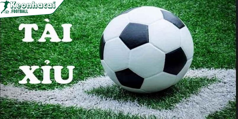 Cách đọc kèo Tài Xỉu chi tiết, chính xác cho người mới chơi 4 Kinh nghiệm đặt kèo Tài Xỉu luôn thắng từ cao thủ