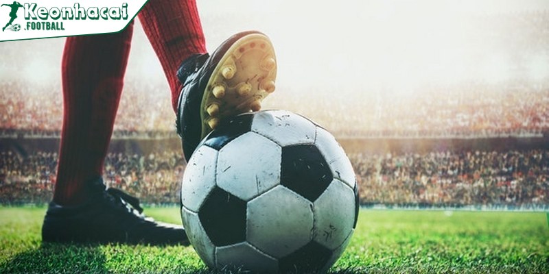 Kinh nghiệm chơi kèo Malaysia thắng lớn từ cao thủ