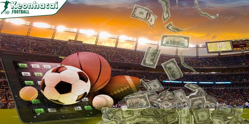 Các mẹo cá cược thể thao không thua từ cao thủ lâu năm