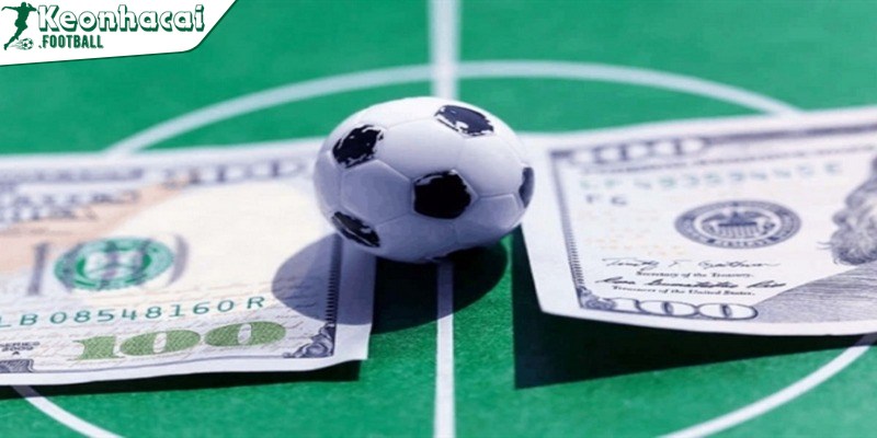 Kèo bóng đá 1/2 là sao, cách tính tiền, kinh nghiệm chơi? 3 Nguyên tắc cơ bản khi đọc kèo 1/2 cần được tuân thủ nghiêm ngặt