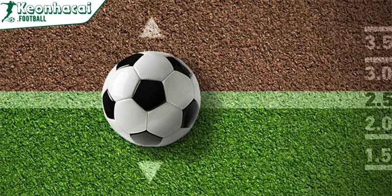 Theo dõi sát sao mọi diễn biến của cả đội cửa trên và đội cửa dưới