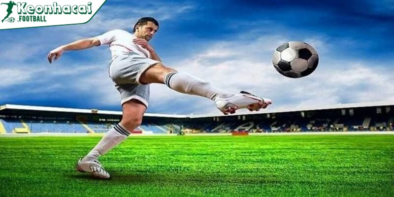 Kèo đặc biệt hấp dẫn cùng cách đọc, cách soi đơn giản 4 Cược theo nhận định của chuyên gia đối với người mới rất quan trọng