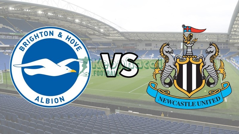 Soi kèo Brighton vs Newcastle - 2100 ngày 18/10 - Ngoại hạng Anh 1 Soi kèo Brighton vs Newcastle - 2100 ngày 18/10 - Ngoại hạng Anh