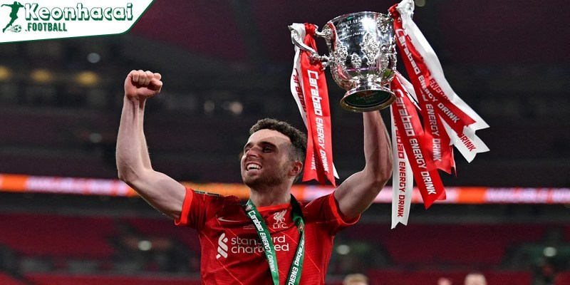 Thành tích sự nghiệp của Diego Jota