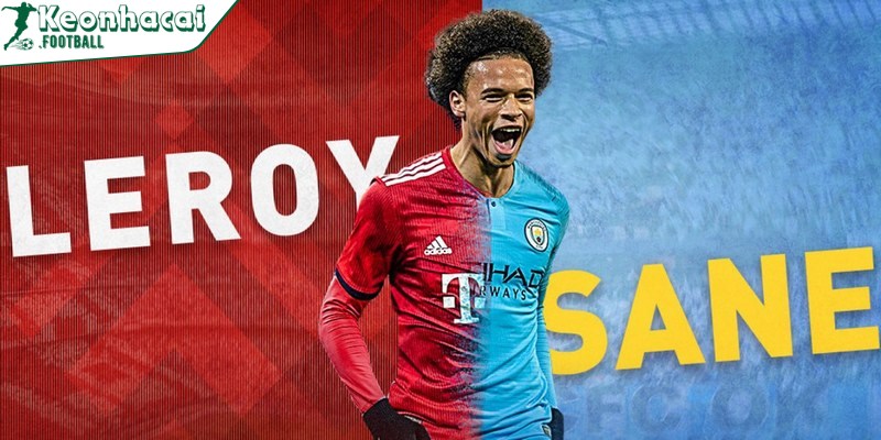 Thành tích sự nghiệp của Leroy Sane