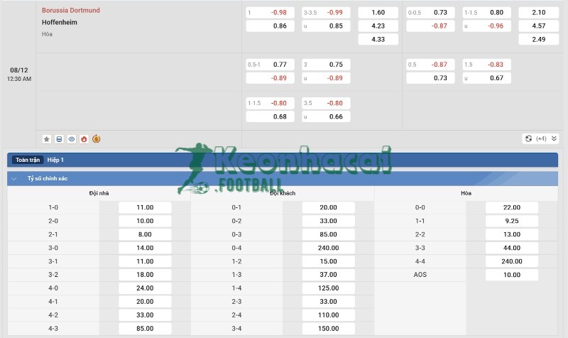 Tỷ lệ kèo Dortmund vs Hoffenheim