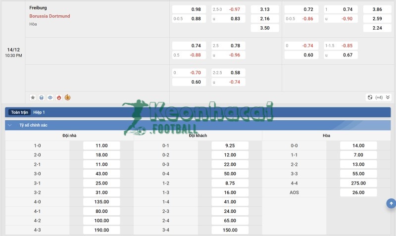 Tỷ lệ kèo Freiburg vs Dortmund