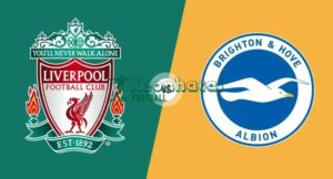 Soi kèo Liverpool vs Brighton - 22h00 ngày 13/12 - Ngoại hạng Anh 8 Soi kèo Liverpool vs Brighton - 22h00 ngày 13/12 - Ngoại hạng Anh